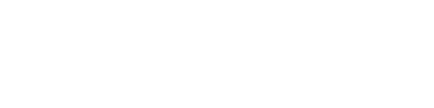 2010